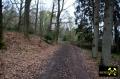 Grube Ameise im Leimbachtal bei Siegen, Westerwald, Nordrhein-Westfalen, (D) (33) 24. April 2016.JPG